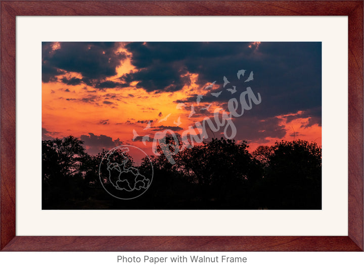 Wall Art: South Luangwa Sunset