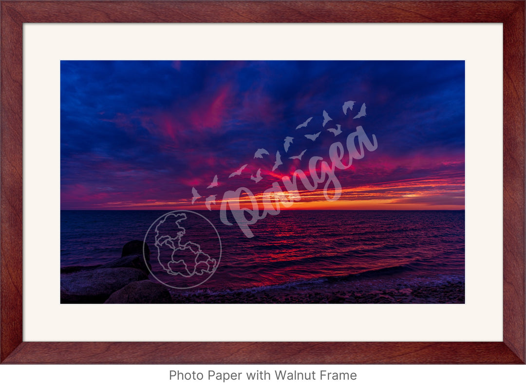 Wall Art: Classic Cape Cod Sunset