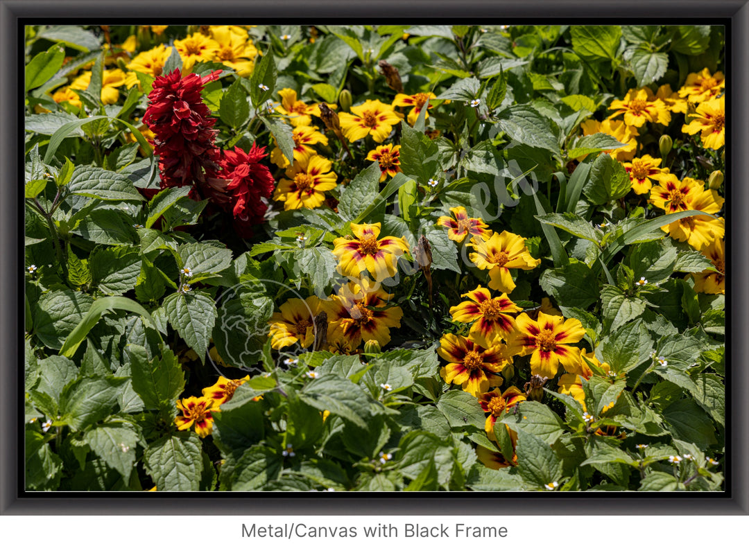 Wall Art: Québec's Colorful Gardens