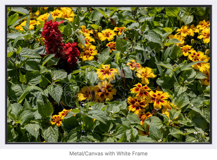 Wall Art: Québec's Colorful Gardens