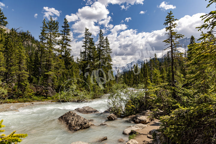 The Yoho Rapids Wall Art