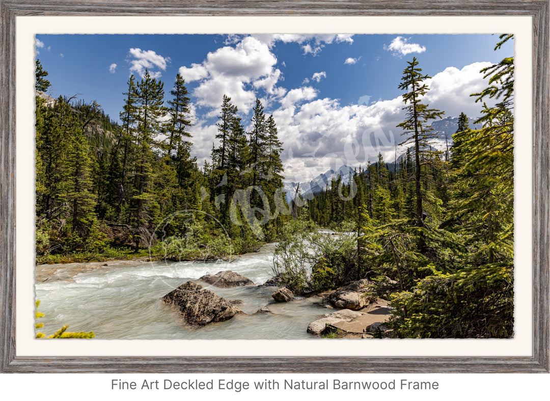 Wall Art: The Yoho Rapids