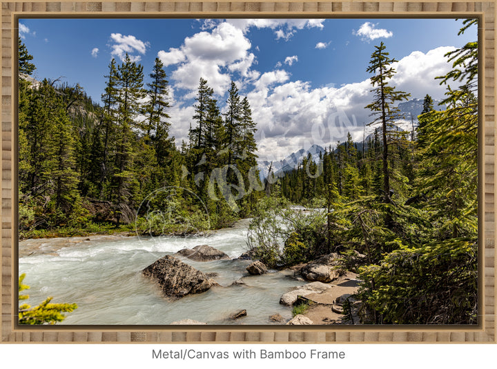 Wall Art: The Yoho Rapids