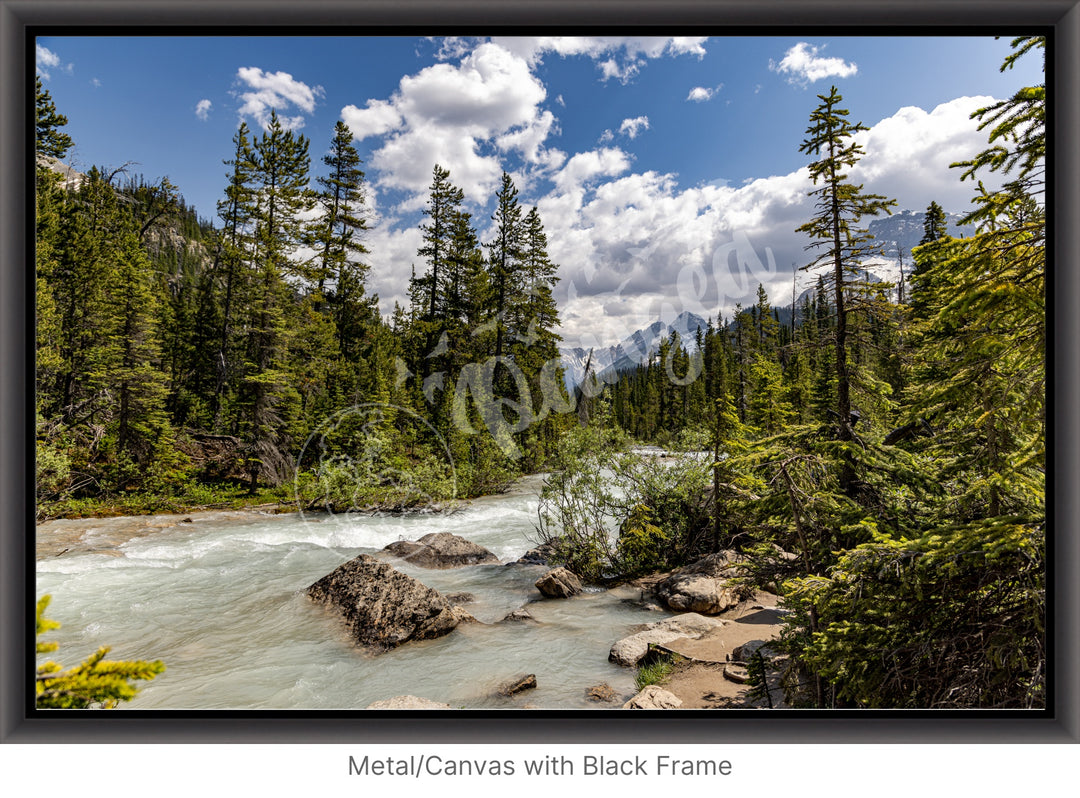 The Yoho Rapids Wall Art