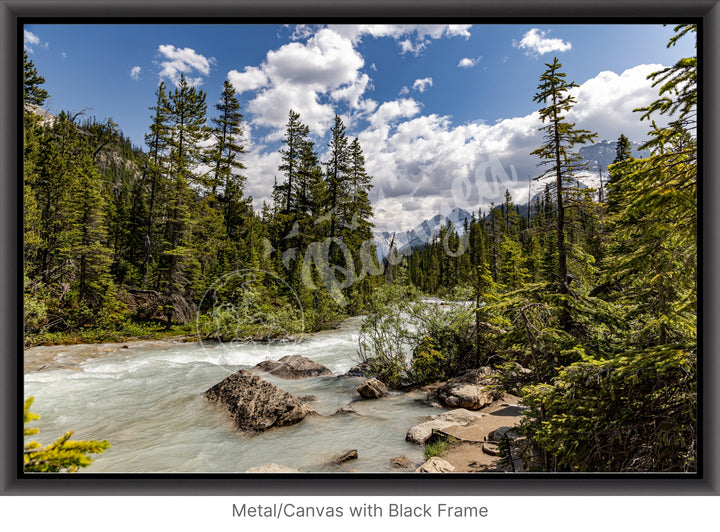 The Yoho Rapids Wall Art