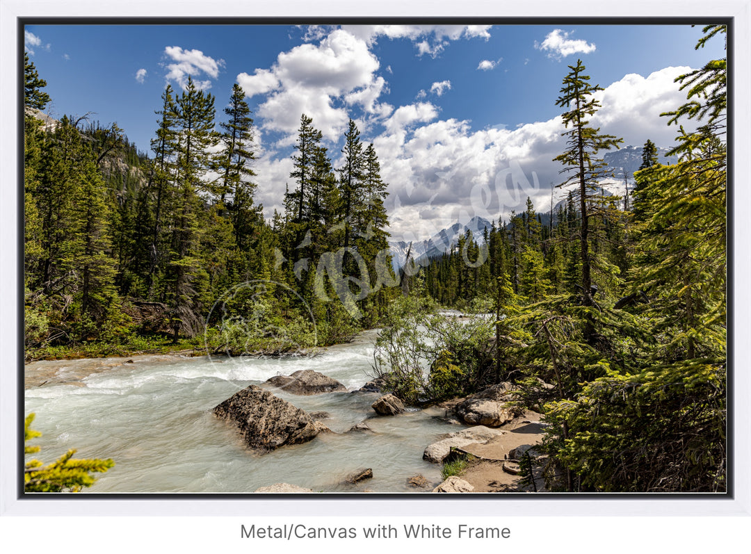 Wall Art: The Yoho Rapids