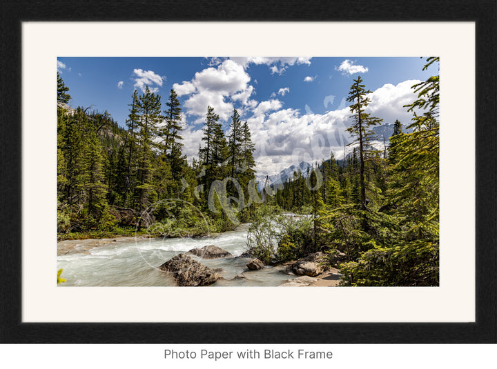 Wall Art: The Yoho Rapids