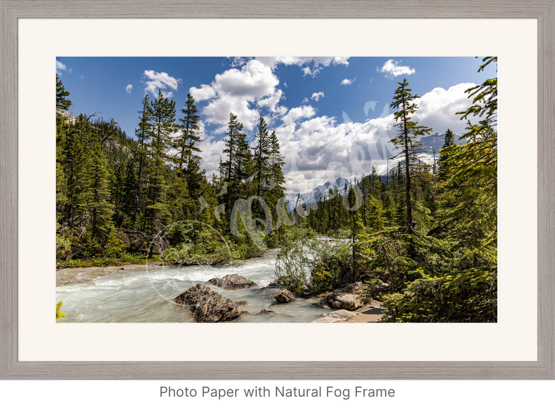 Wall Art: The Yoho Rapids