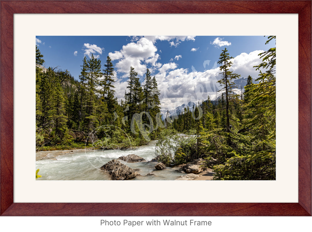 Wall Art: The Yoho Rapids