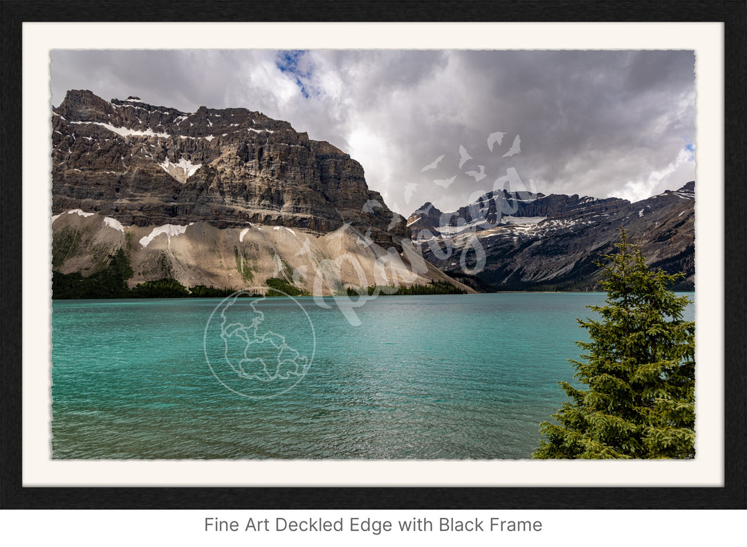 Wall Art: Summertime at Bow Lake