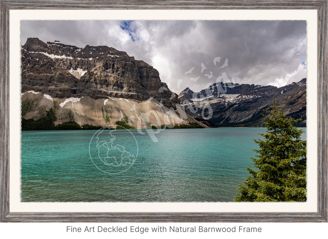 Banff Wall Art: Brilliant Bow Lake Waters