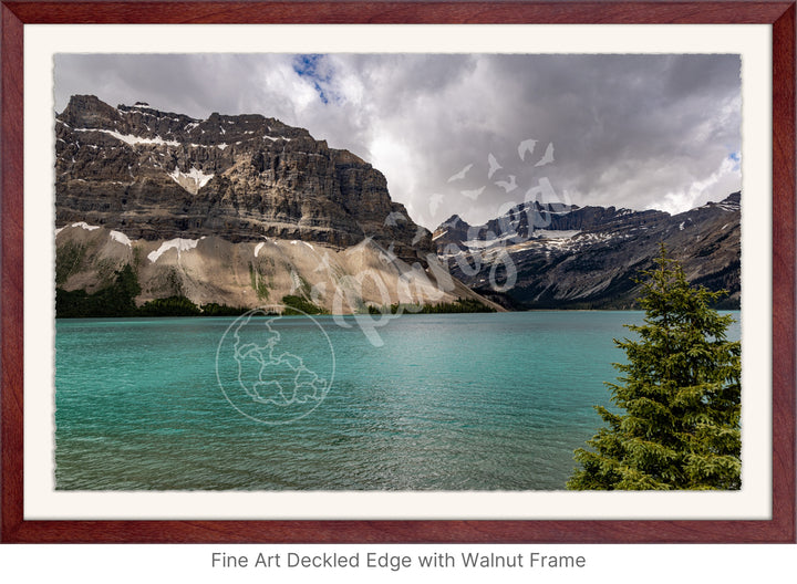 Wall Art: Summertime at Bow Lake