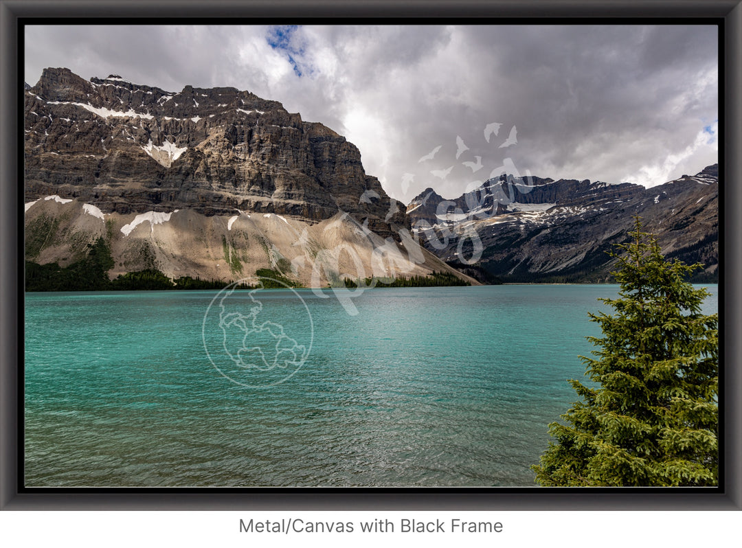 Wall Art: Summertime at Bow Lake