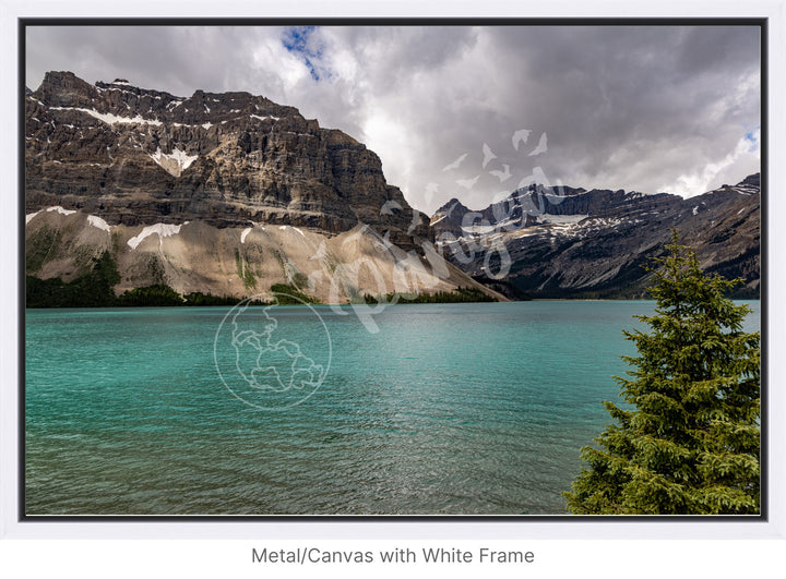 Banff Wall Art: Brilliant Bow Lake Waters