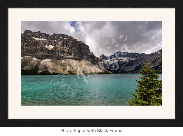 Banff Wall Art: Brilliant Bow Lake Waters