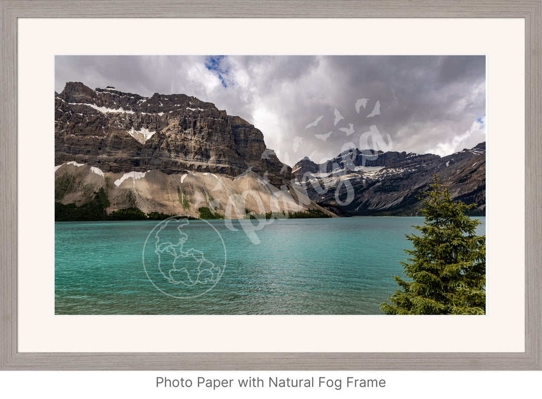 Banff Wall Art: Brilliant Bow Lake Waters