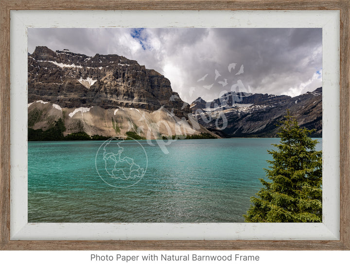 Banff Wall Art: Brilliant Bow Lake Waters