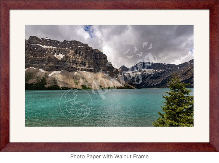 Wall Art: Summertime at Bow Lake