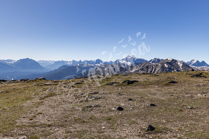 Wall Art: On Top of the Canadian Rockies