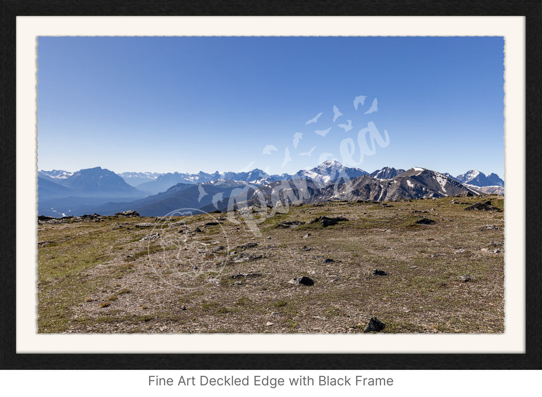 Wall Art: On Top of the Canadian Rockies