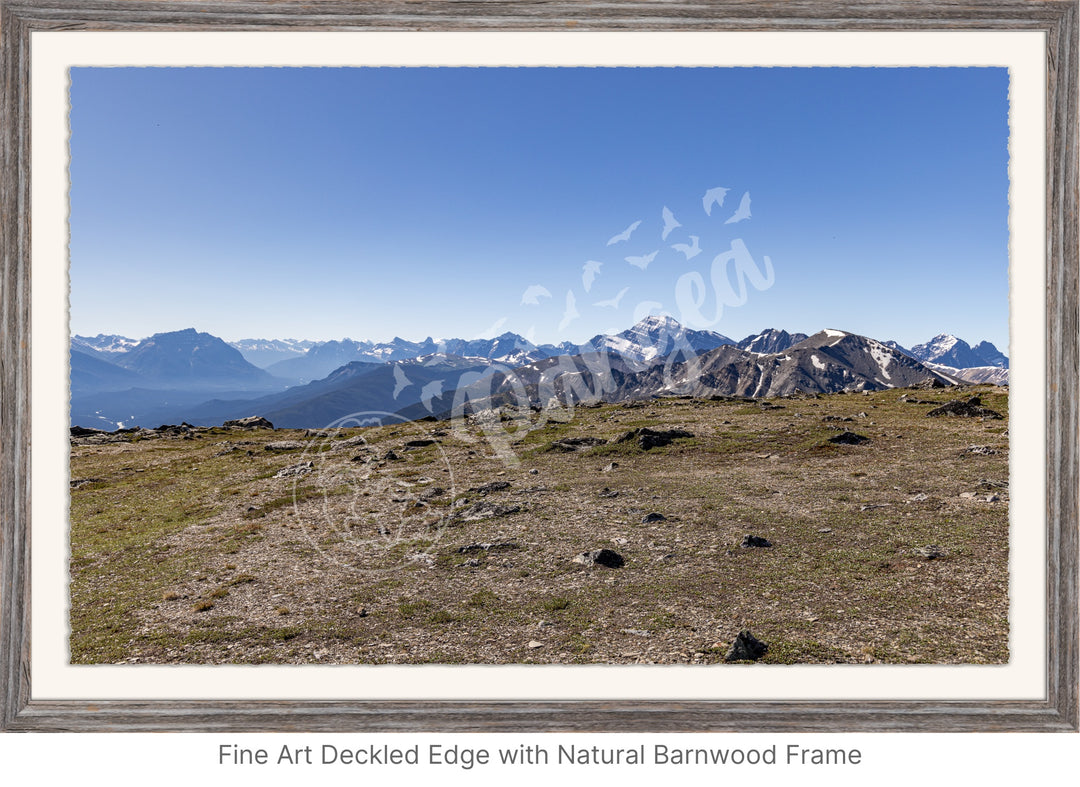 Wall Art: On Top of the Canadian Rockies