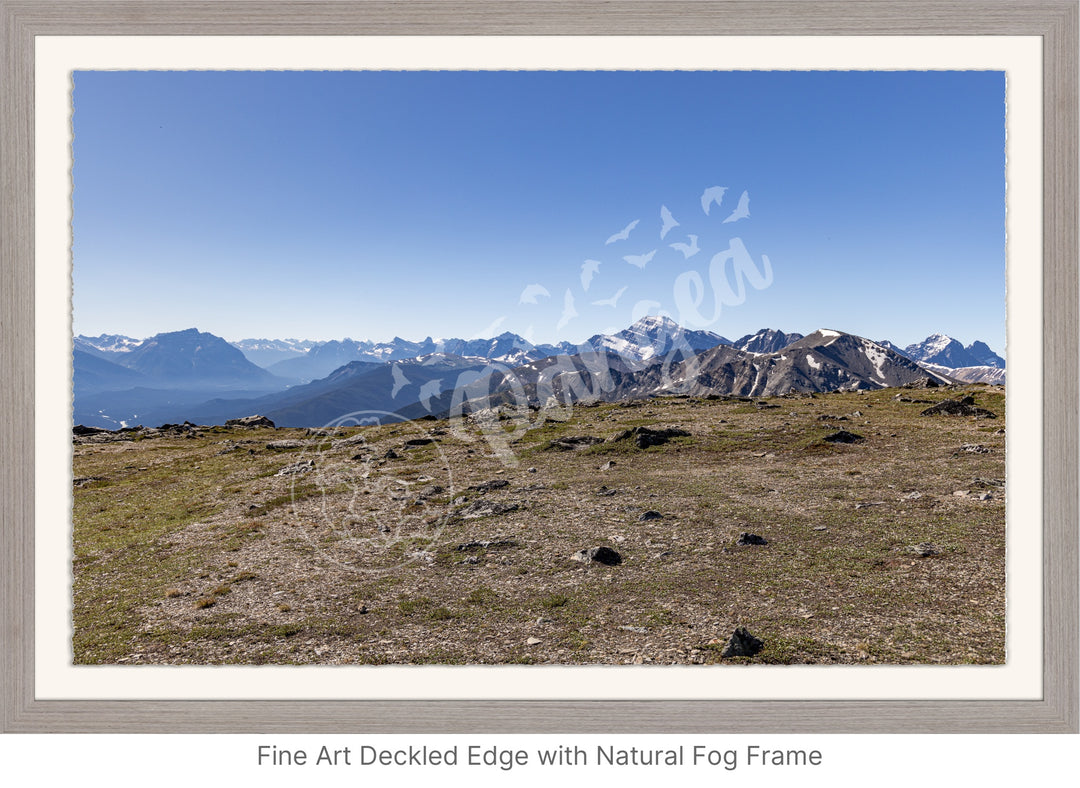 Wall Art: On Top of the Canadian Rockies