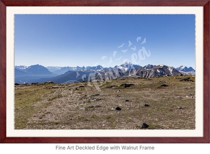 Wall Art: On Top of the Canadian Rockies