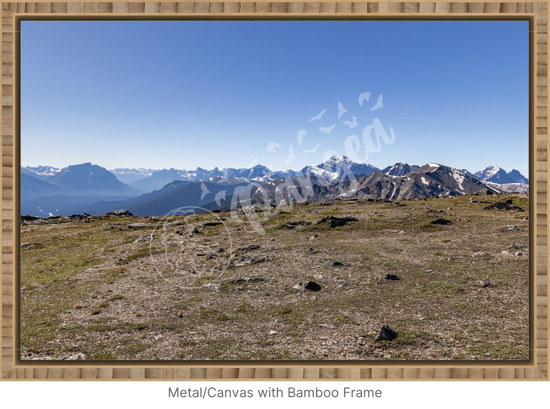 Wall Art: On Top of the Canadian Rockies