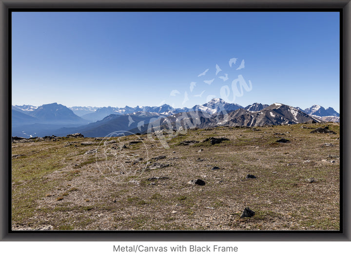 Wall Art: On Top of the Canadian Rockies