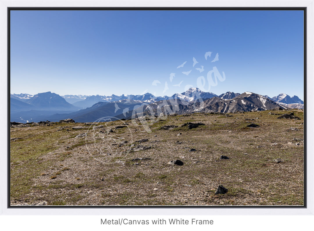 Wall Art: On Top of the Canadian Rockies