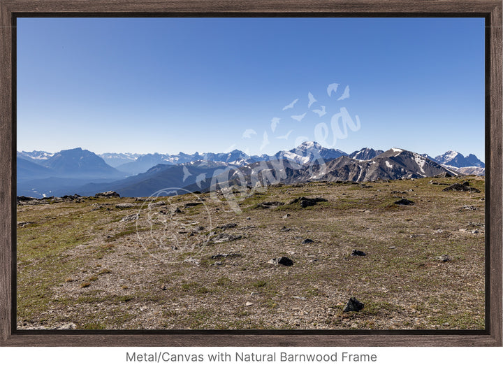 Wall Art: On Top of the Canadian Rockies