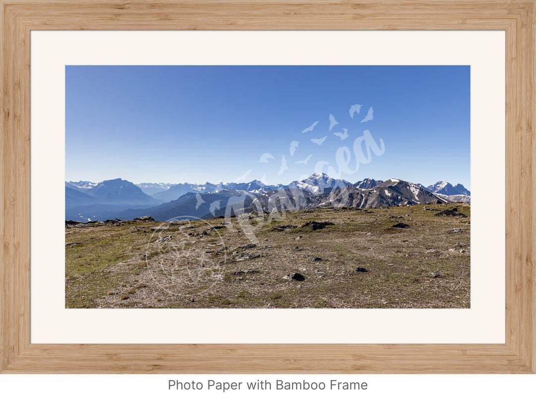 Wall Art: On Top of the Canadian Rockies