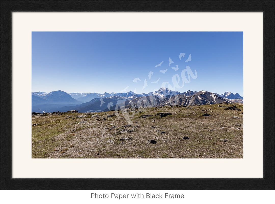 Wall Art: On Top of the Canadian Rockies