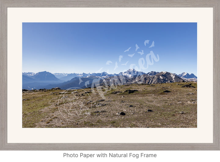 Wall Art: On Top of the Canadian Rockies