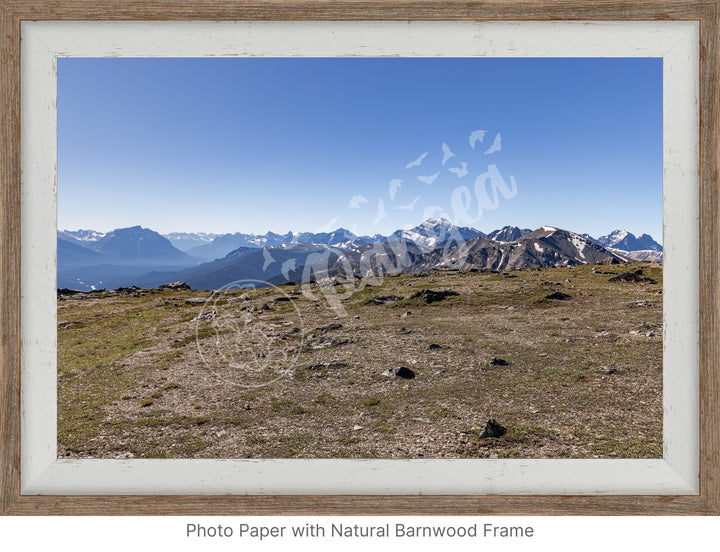 Wall Art: On Top of the Canadian Rockies