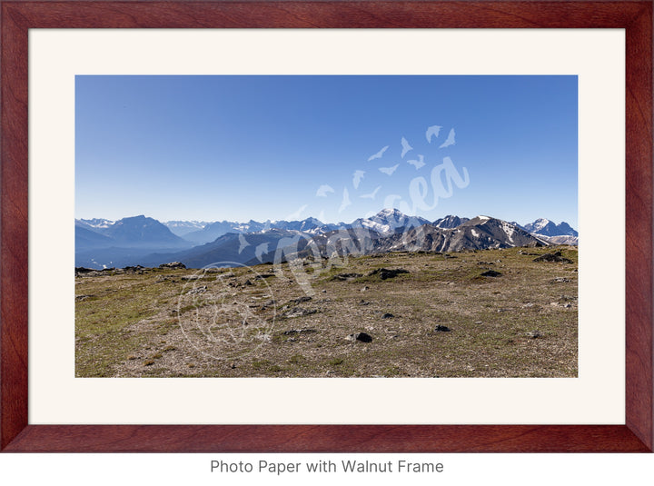 Wall Art: On Top of the Canadian Rockies