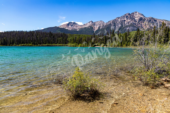 Jasper National Park Wall Art: Patricia Lake