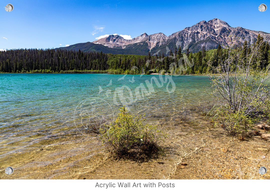 Jasper National Park Wall Art: Patricia Lake