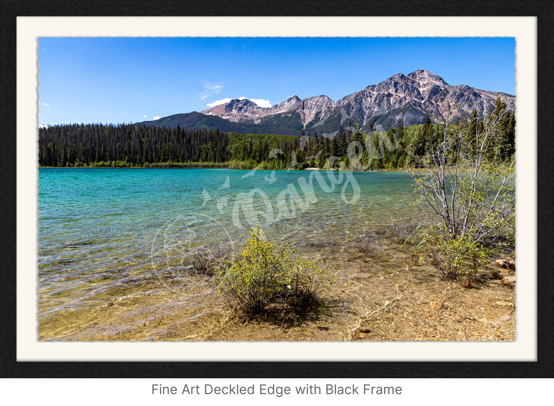 Jasper National Park Wall Art: Patricia Lake