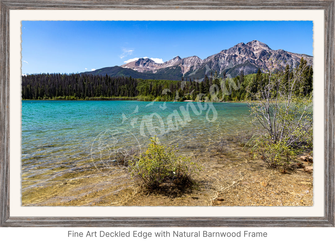 Jasper National Park Wall Art: Patricia Lake