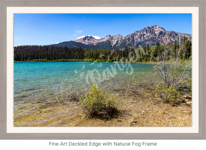 Jasper National Park Wall Art: Patricia Lake