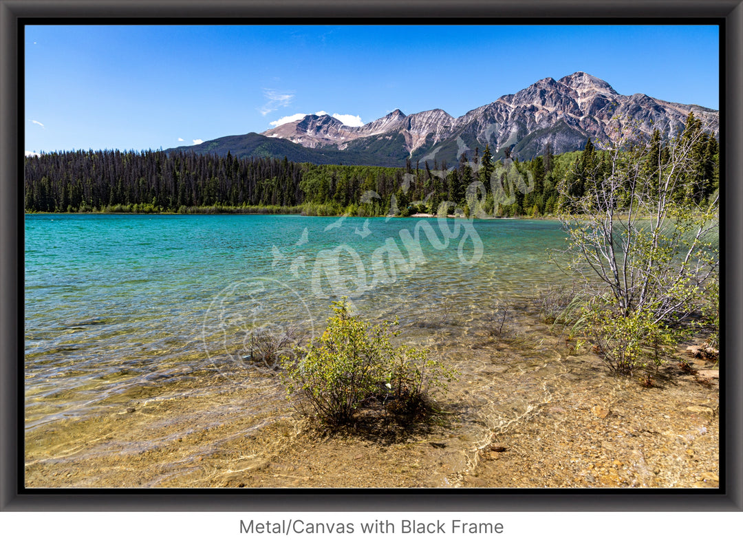 Jasper National Park Wall Art: Patricia Lake