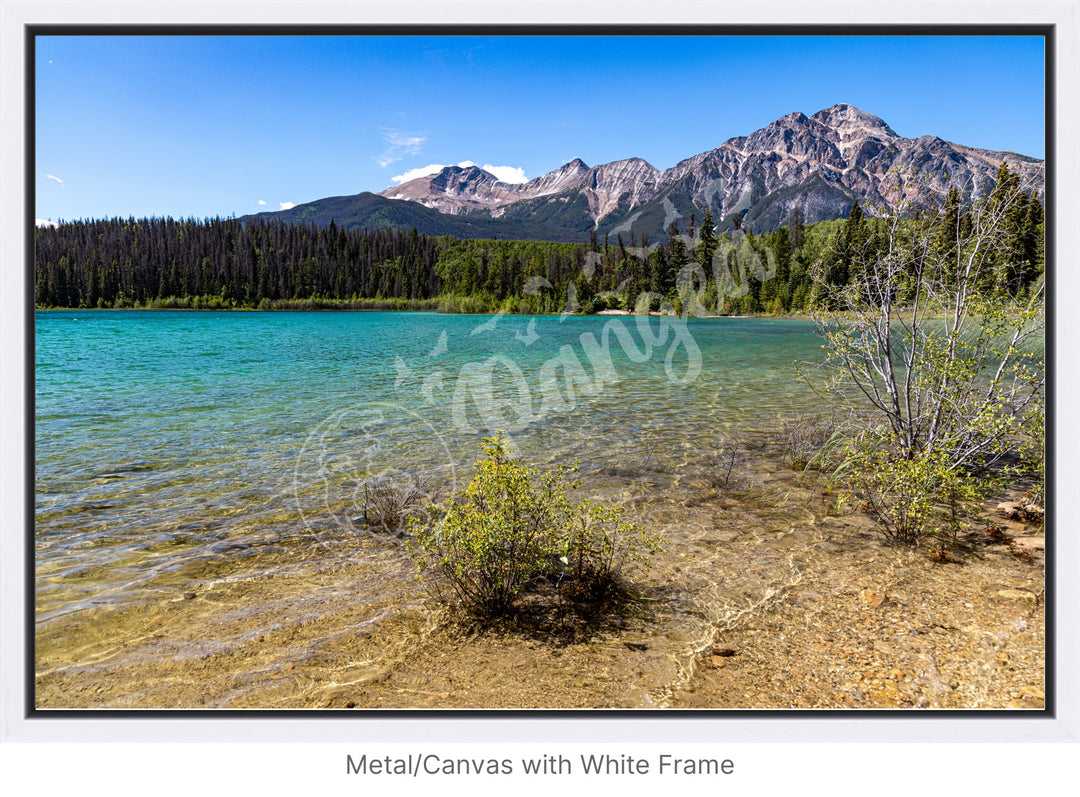 Jasper National Park Wall Art: Patricia Lake