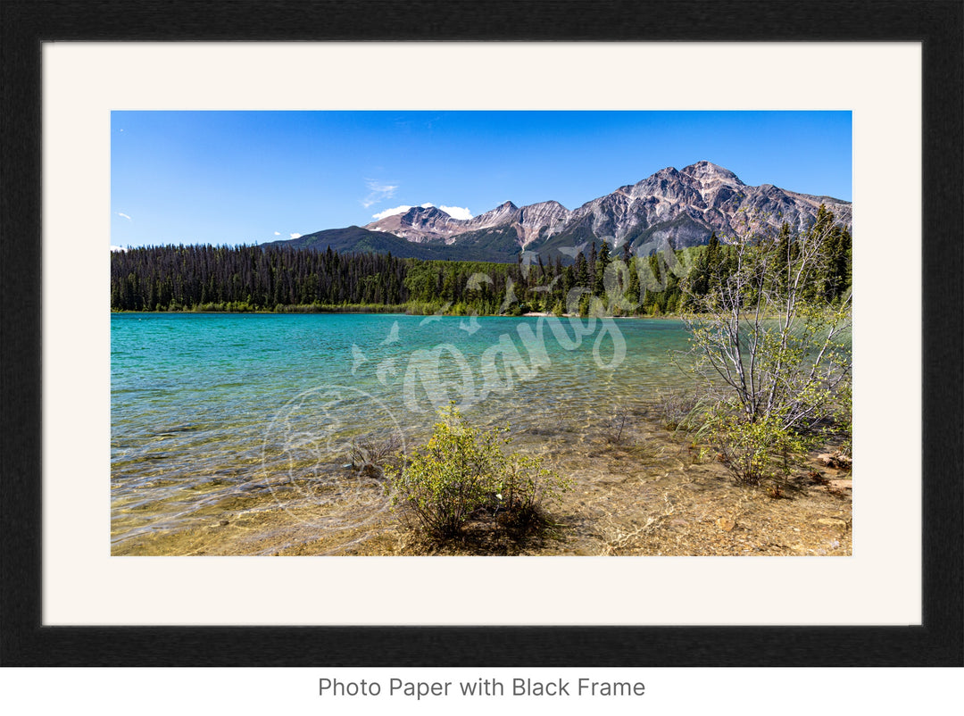 Jasper National Park Wall Art: Patricia Lake