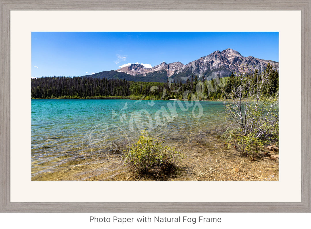 Jasper National Park Wall Art: Patricia Lake