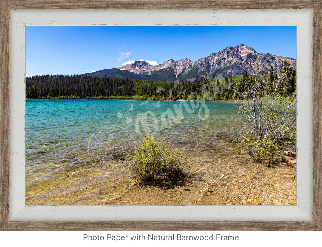 Jasper National Park Wall Art: Patricia Lake