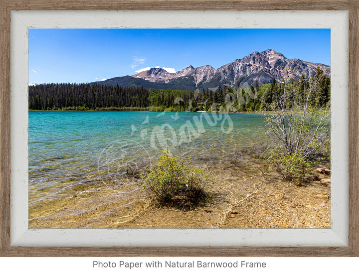 Wall Art: Summer at Patricia Lake