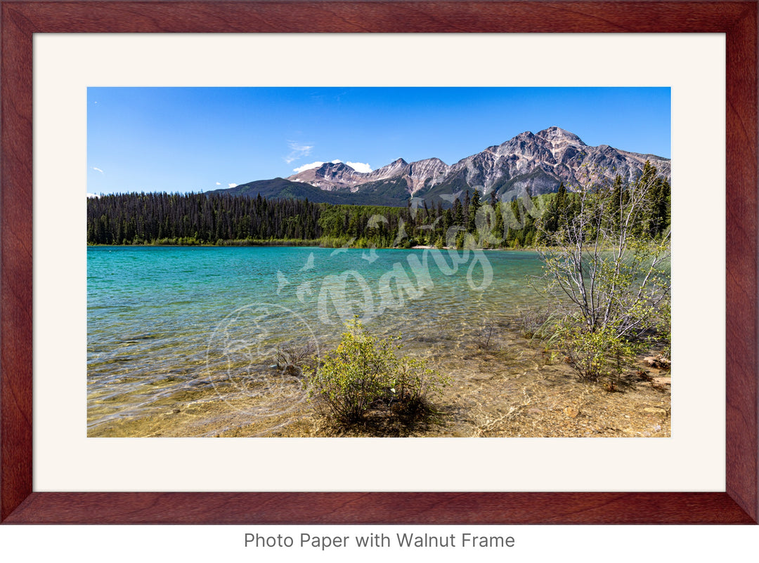 Wall Art: Summer at Patricia Lake