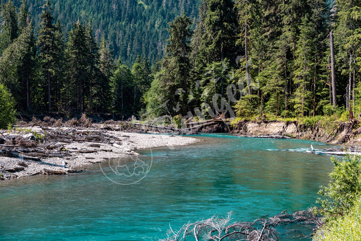 Glittering Glacial River Wall Art