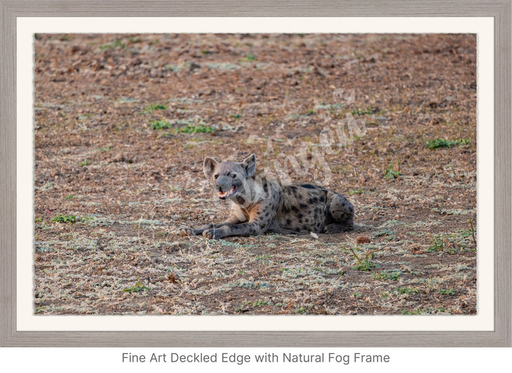 African Safari Wall Art: The Lone Hyena